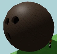 An overgrowing coconut
