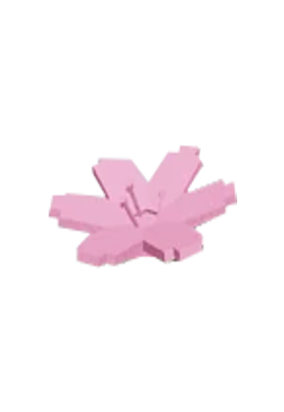 Cherry Blossom produce