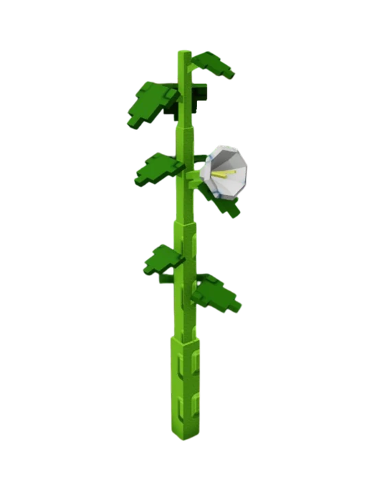 Moonflower produce