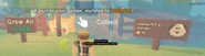 A player's infobox next to the Grow All sign