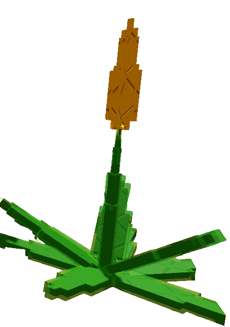 Succulent produce