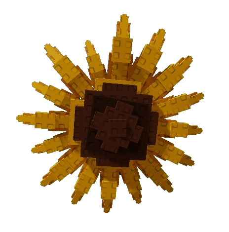 Sunflower produce